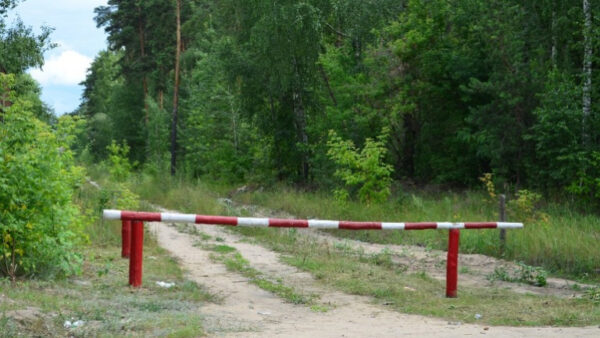 В Липецкой области введено ограничение на посещение лесов
