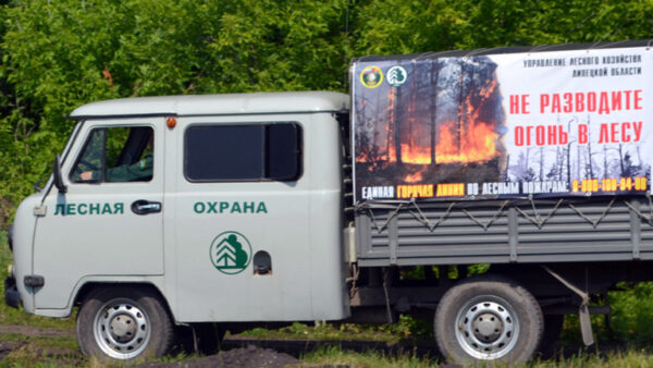 В Липецкой области запретили поездки в лес