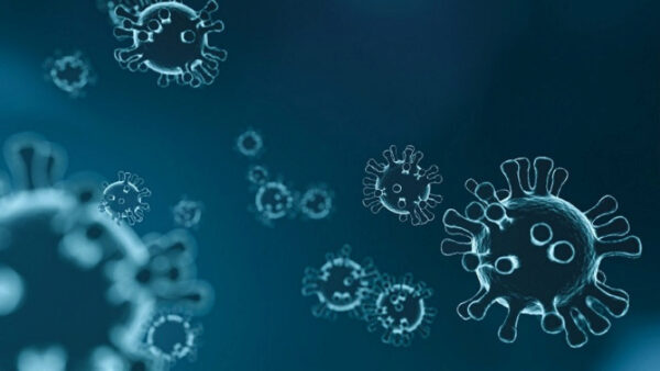 За сутки в Липецкой области выявили 25 больных коронавирусом