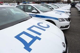 Житель Нижневартовска пойдет под суд за то, что ударил полицейского в автомобиле ППС