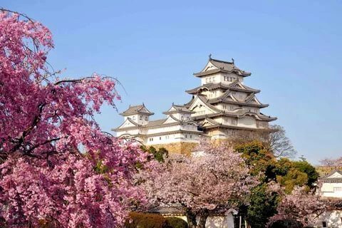Бонус за отдых: Туристов в Японию решили привлечь звонкой монетой