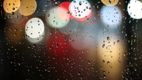 Дожди и грозы: погода в Липецкой области 5 мая