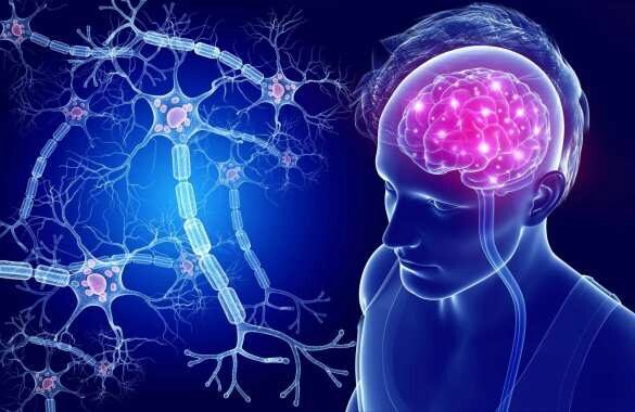 Коронавирус поражает даже головной мозг — исследование