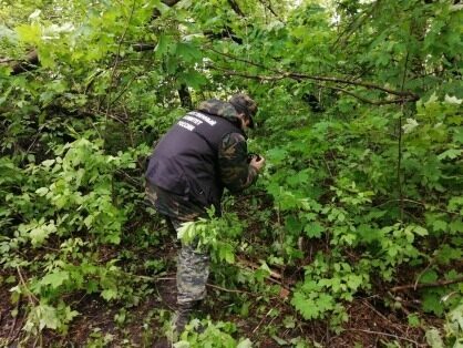 Под Пензой найдена убитой в лесу пропавшая 14-летняя девочка