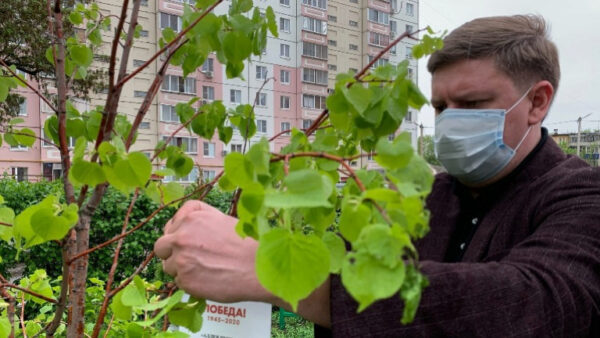 Председатель горсовета Александр Афанасьев посадил дерево