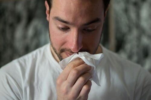 «Простые вопросы»: как пережить сезонную аллергию в эпидемию коронавируса?