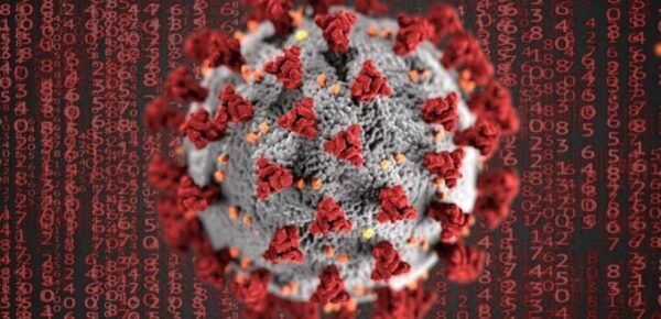 Российский ученый объяснил, как коронавирус приводит к мужскому бесплодию