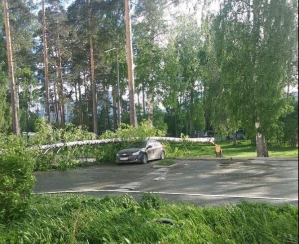 Сильнейший ураган в Свердловской области: есть погибшие и пострадавшие