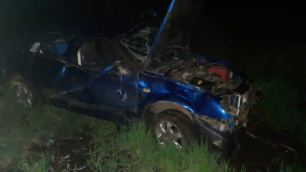 В Тербунском районе машина вылетела в кювет. Пассажир погиб