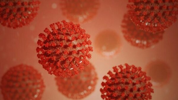 Вирусолог рассказал, можно ли заразиться коронавирусом дома
