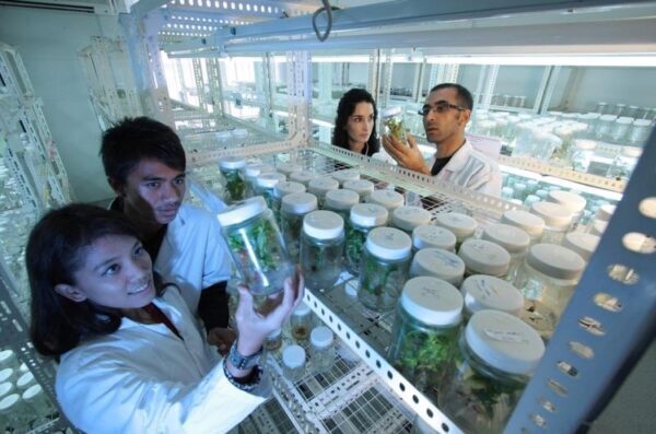 Что "варится" в американских биолабораториях? Постпред РФ задал напрямую вопрос ОБСЕ