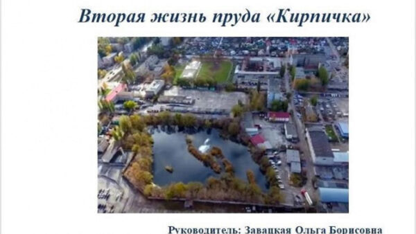 Липецкая область вошла в ТОП-3 масштабного экологического проекта