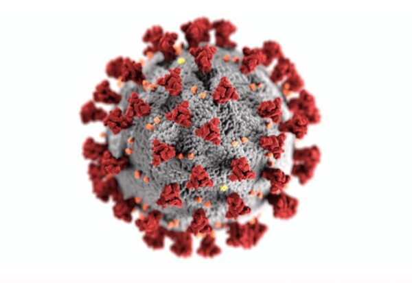 Математики подтвердили, что коронавирус мутирует: чем грозит это россиянам