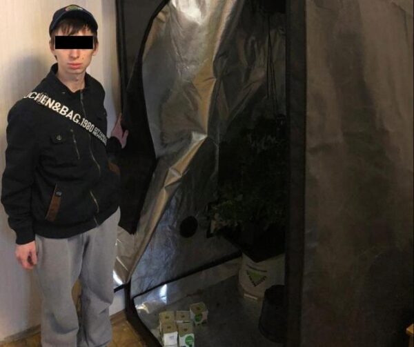 Полиция задержала екатеринбуржца, устроившего в квартире плантацию конопли (фото)