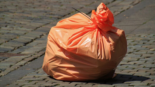 Прокуратуре пришлось заняться уборкой мусора в центре Липецка