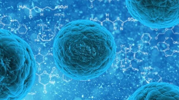 Ученые смогли вырастить аналог человеческого эмбриона из стволовых клеток