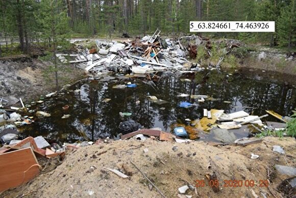 В лесах Муравленко обнаружены 33 нелегальные свалки мусора