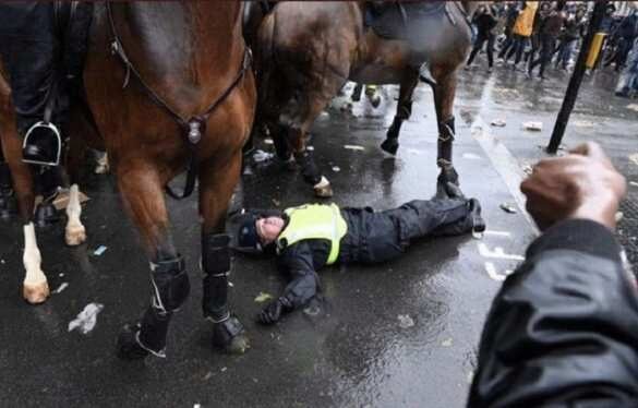 В Лондоне участники «чёрного майдана» атаковали конных полицейских, есть пострадавшие (ВИДЕО)
