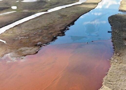 В водоемах Норильска после аварии ПДК вредных веществ превышена в 200 раз