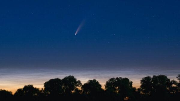 Липчане делятся в соцсетях снимками ярчайшей кометы