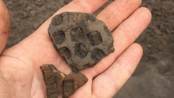 Липецкие археологи нашли больше 500 древних артефактов