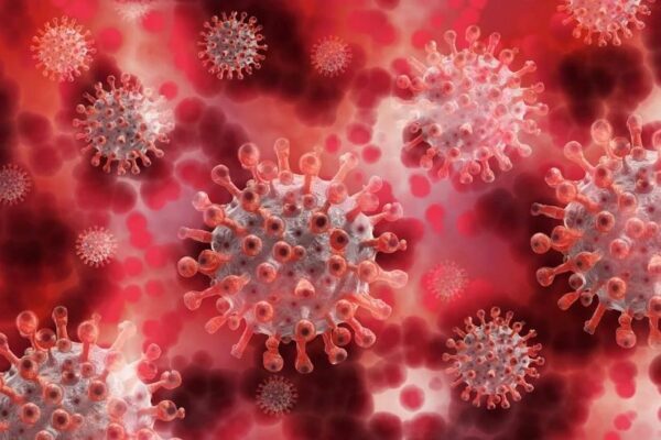 Новый штамм коронавируса быстрее размножается и передается