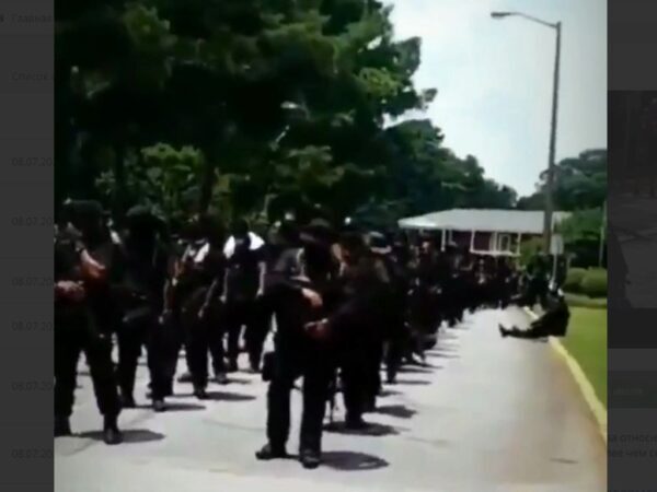 Сотни вооружённых «чёрных пантер» вышли на улицы Джорджии