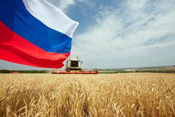 В США испугались запрета на экспорт зерна из России