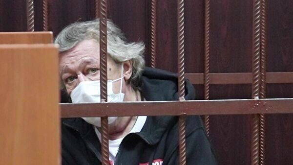 Адвокат Ефремова попросил суд о видеотрансляции