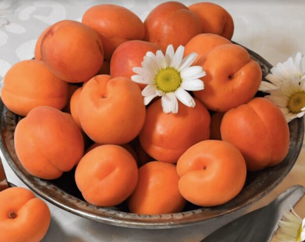 Диетолог объяснила, от чего спасают персики и абрикосы