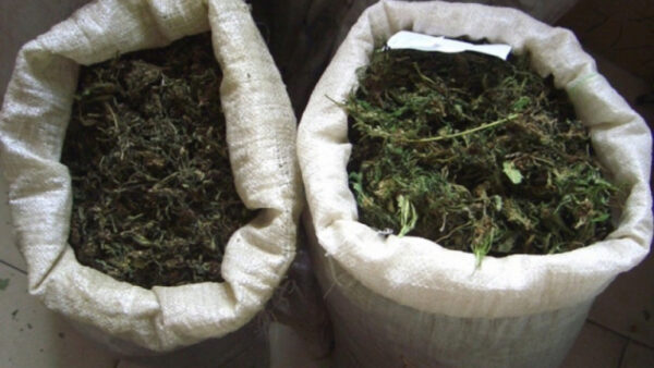 Два мешка марихуаны нашли у жителя Липецкой области