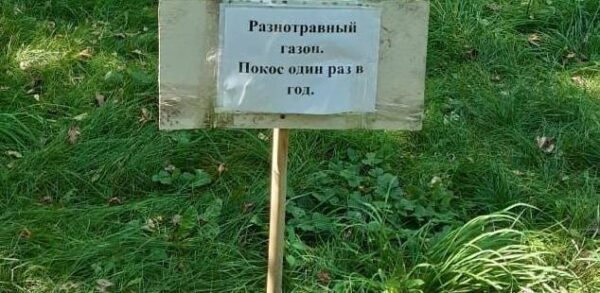 Жители района Москвы добиваются от "Жилищника" правильного ухода за газонами