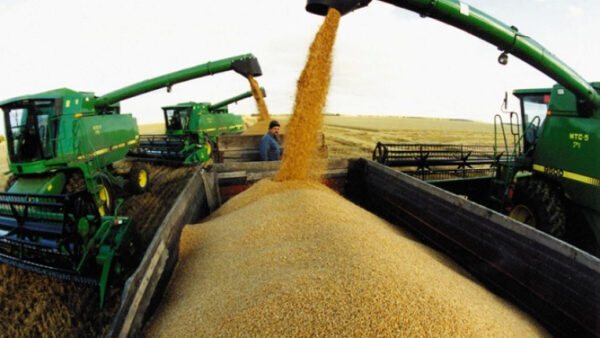 Липецкое зерно продали Беларуси, Финляндии и Польше