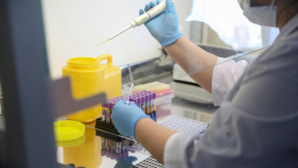 Почти 282 тысячи липчан сдали тест на коронавирус