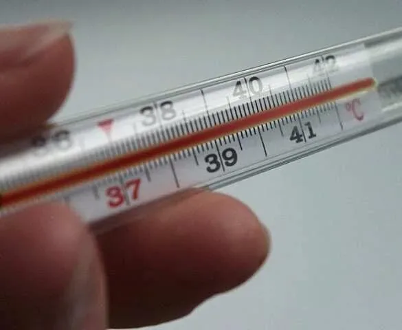 Учёные назвали необычный фактор, увеличивающий продолжительность жизни