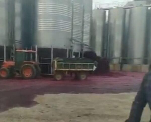 В Испании целый завод затопило вином