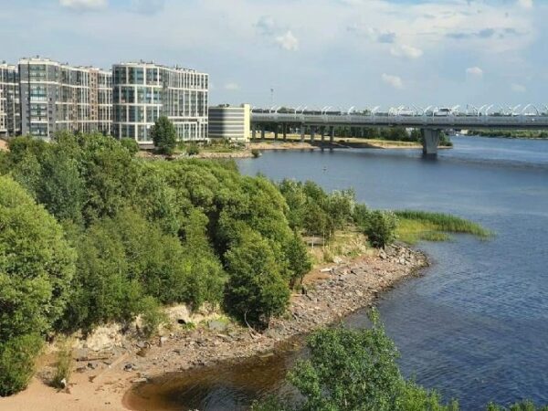 Градсовет Петербурга лишил горожан очередного зеленого пятна