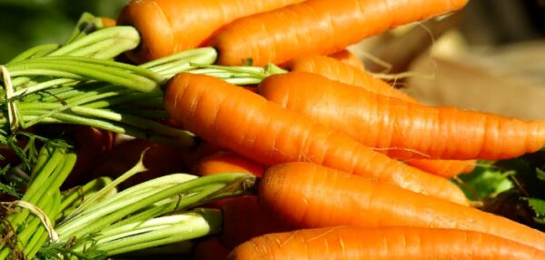 Неправильное употребление моркови превращает ее в яд