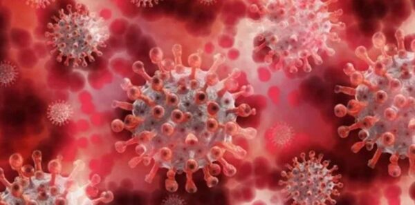 Переболевшие коронавирусом дети могут иметь проблемы с фертильностью