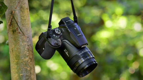 У 36-летнего липчанина украли два фотоаппарата