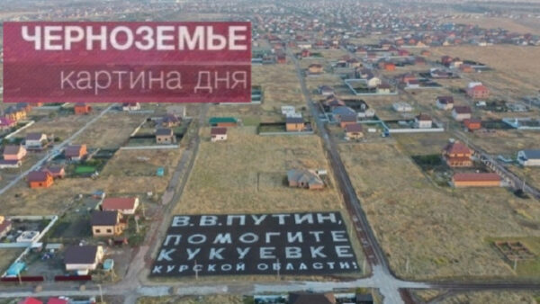 Жители деревни высадили обращение к Путину рожью
