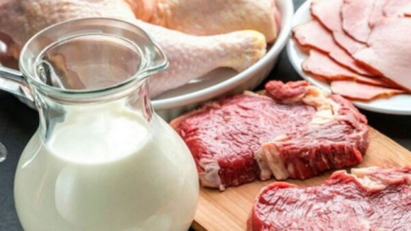 В Липецкой области производство молока выросло на 9%