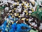 Возле Львова обнаружена несанкционированная свалка медицинских отходов