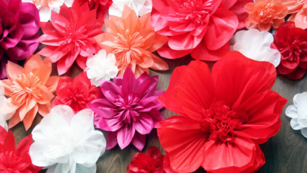 В честь женского дня на Ставрополье собрали восьмерку из 8 тысяч бумажных цветов