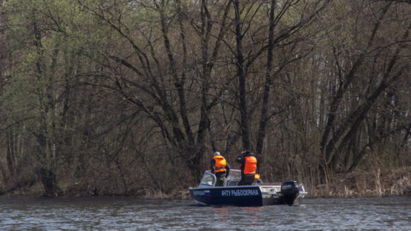 Инспекторы ГИМС проверяют документы судоводителей на реке Воронеже в Липецке