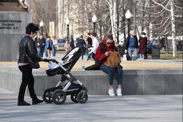 Путинские выплаты получат свыше 700 тыс. будущих мам
