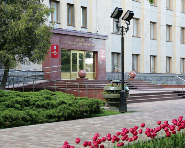 Сразу три и.о. зампредов правительства Ставрополья намерены стать депутатами регионального парламента