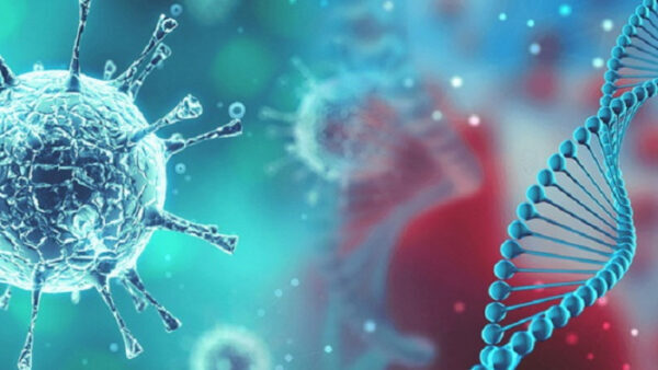 В Липецкой области за сутки коронавирус обнаружили у 80 человек