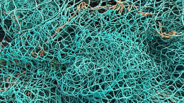 Липецкие браконьеры сетью выловили 43,5 кг рыбы в Матырском водохранилище