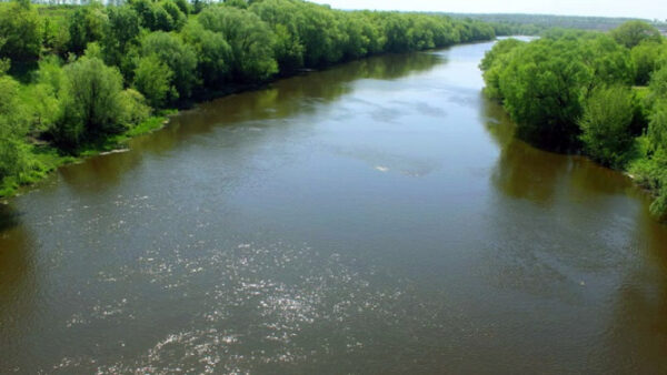 В Липецкой области расчистят реку Красивая Меча за 36 млн рублей
